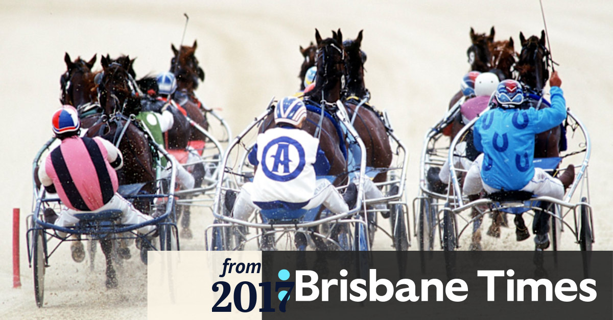 Harness racing driver charged with fixing race north of Brisbane